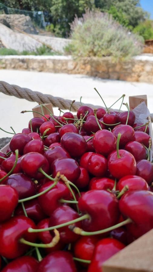 Finca Sa Cova De Mallorca Thị trấn Thị trấn Sencelles Ngoại thất bức ảnh