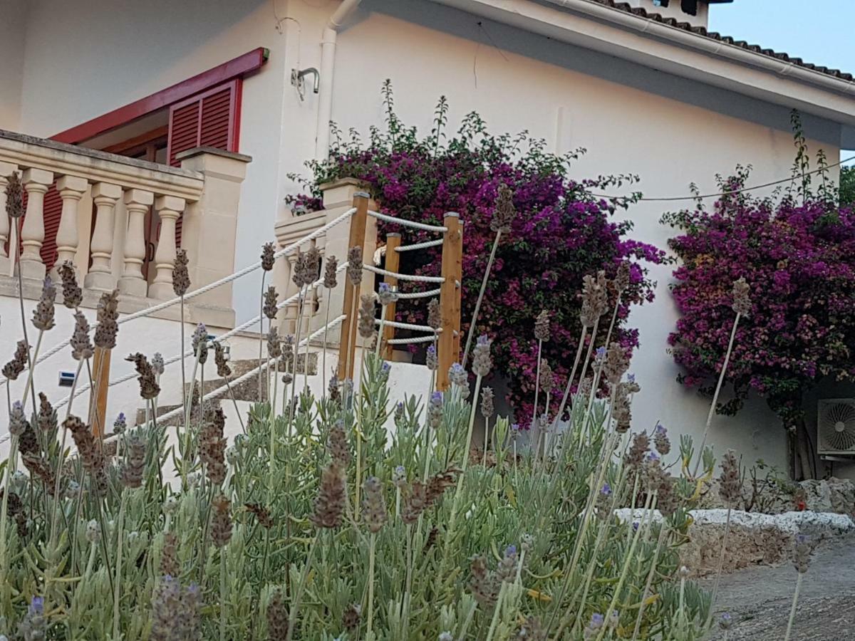 Finca Sa Cova De Mallorca Thị trấn Thị trấn Sencelles Ngoại thất bức ảnh