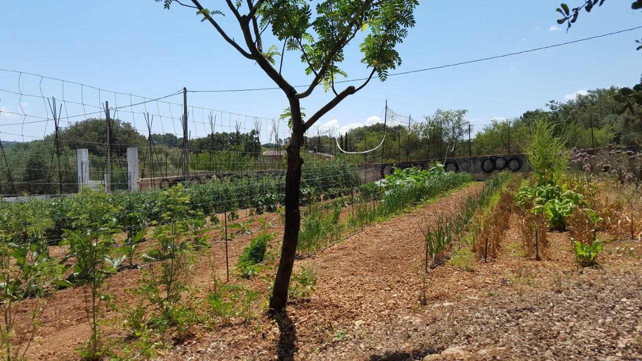Finca Sa Cova De Mallorca Thị trấn Thị trấn Sencelles Ngoại thất bức ảnh