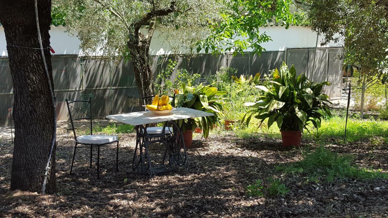 Finca Sa Cova De Mallorca Thị trấn Thị trấn Sencelles Ngoại thất bức ảnh