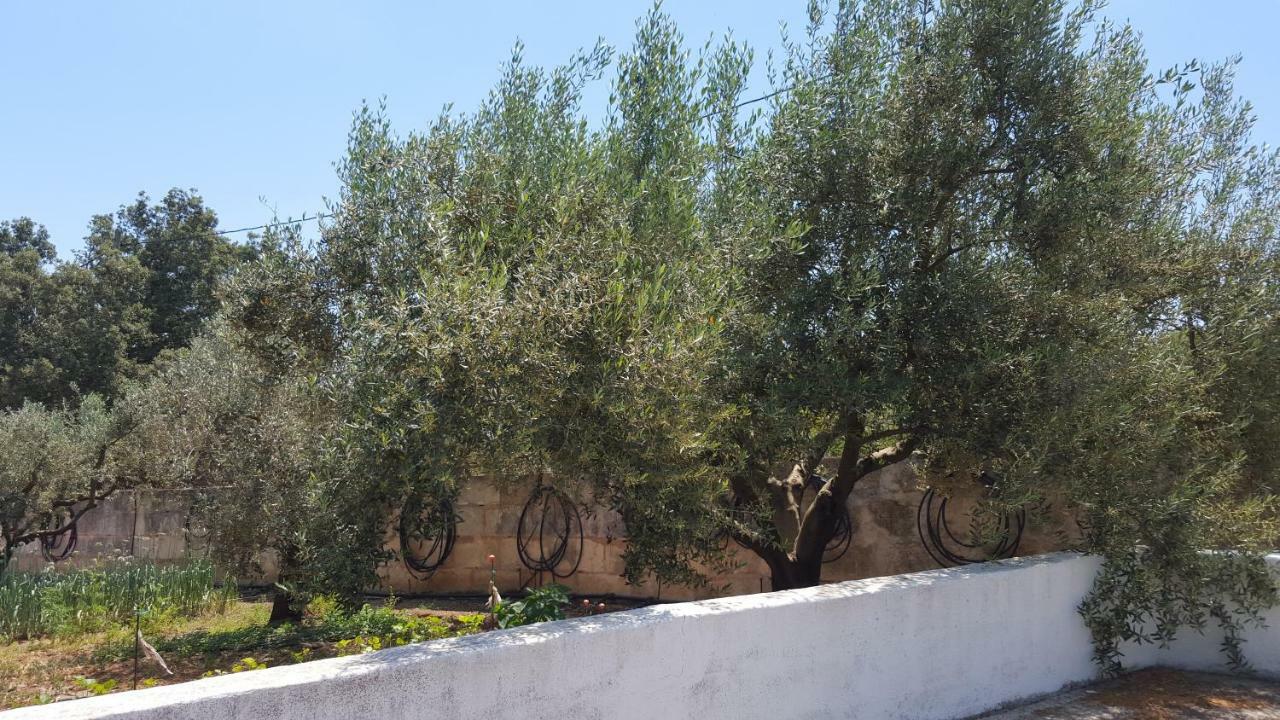 Finca Sa Cova De Mallorca Thị trấn Thị trấn Sencelles Ngoại thất bức ảnh