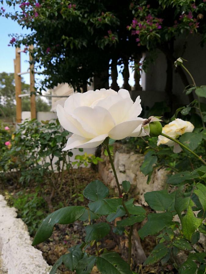 Finca Sa Cova De Mallorca Thị trấn Thị trấn Sencelles Ngoại thất bức ảnh