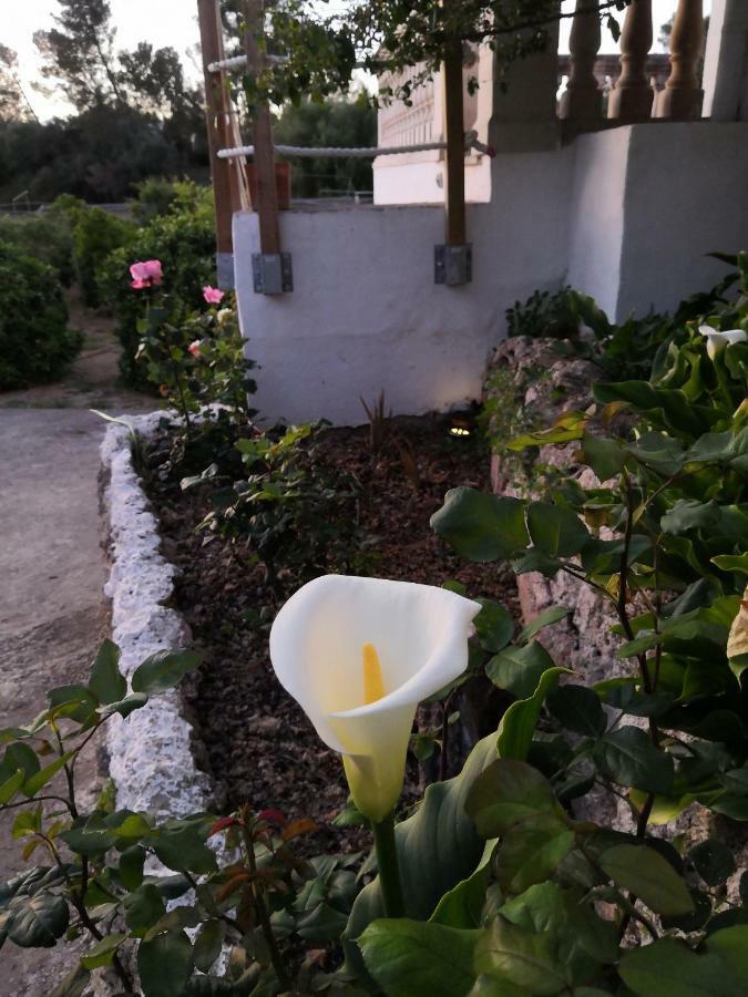 Finca Sa Cova De Mallorca Thị trấn Thị trấn Sencelles Ngoại thất bức ảnh