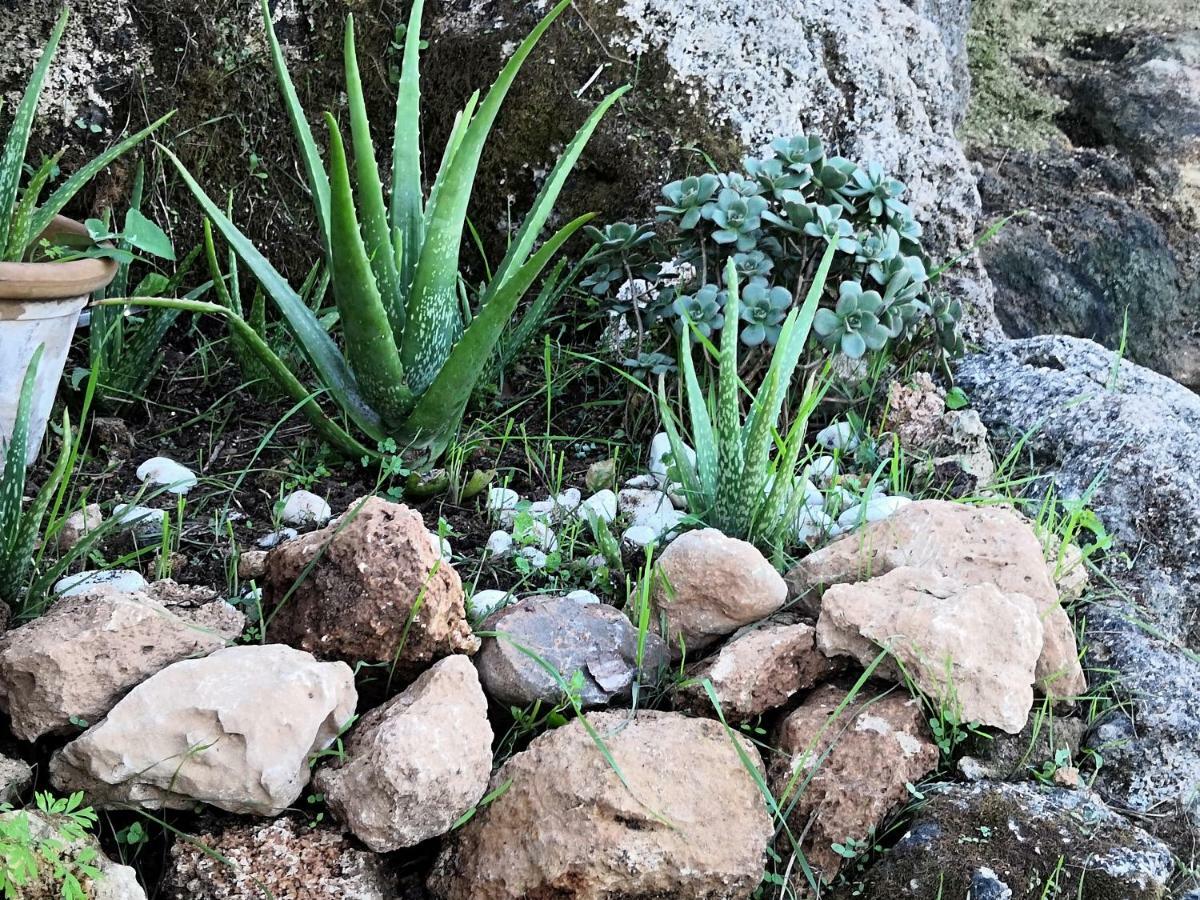 Finca Sa Cova De Mallorca Thị trấn Thị trấn Sencelles Ngoại thất bức ảnh